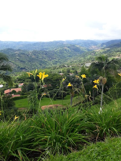 Photos of Restaurante La Bascula