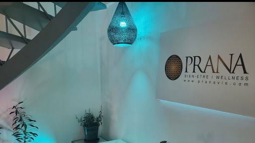 Prana Wellness - Visual
