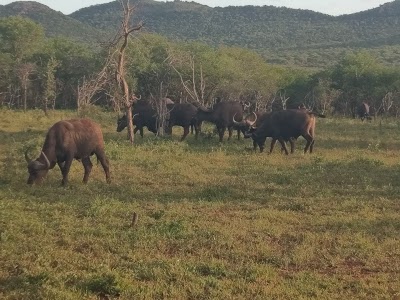 Photos of Rhino River Lodge