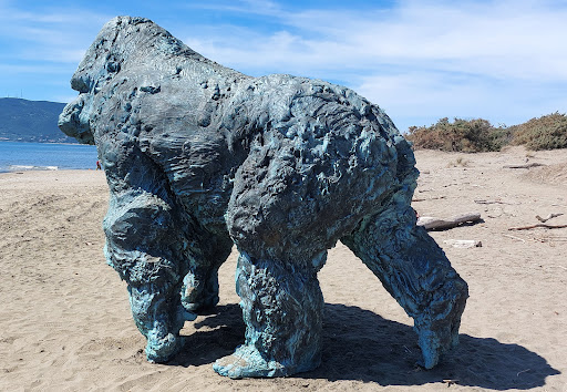 Gorilla, Spiaggia della Feniglia