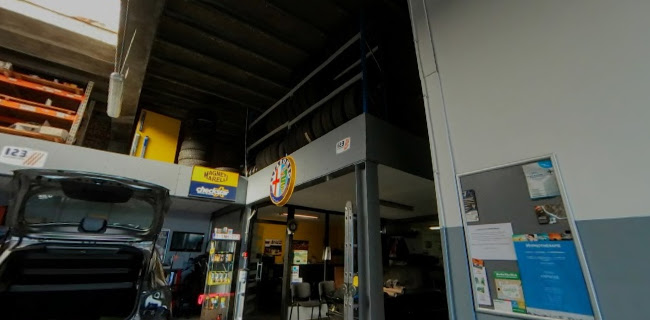 http://www.formicamotor.be/