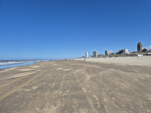 [P] De Zuid Zandvoort - Thumbnail