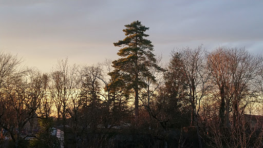 Parc de Jaunac - Thumbnail