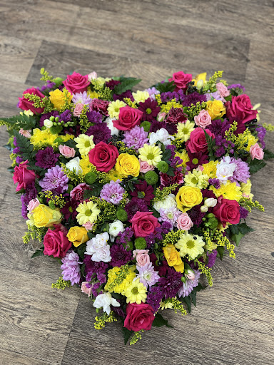 Arrangements - Visual