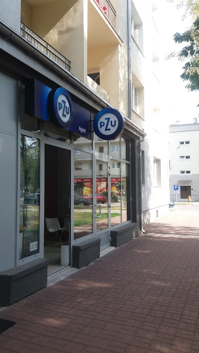 PZU Ubezpieczenia Stalowa Wola - Agent Małgorzata Kusiak