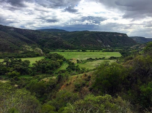 Cañada de la Virgen S.P.R. de R.L.