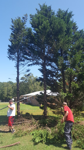 Andrew's Tree Service Gallery - United States