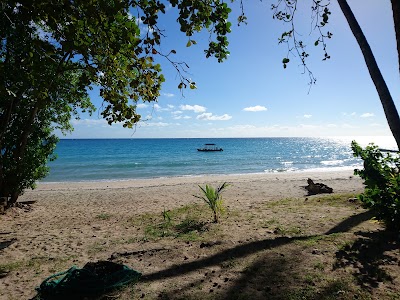 Photos of Dive Kadavu