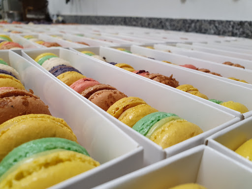 Pâtisserie Ducastel - Thumbnail
