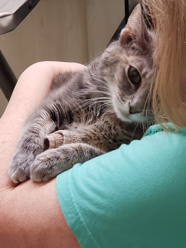 Freeport Pet Clinic - Thumbnail