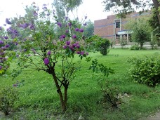 University Of Education Lahore (Multan Campus)