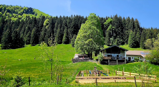 Wirtsalm - Visual
