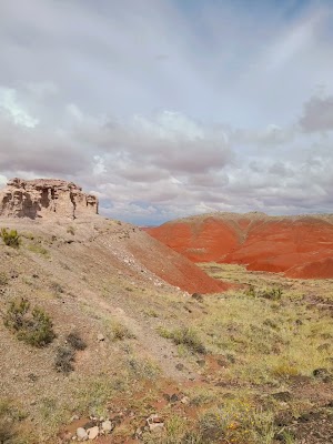 Petrified Forest National Park - Image 2