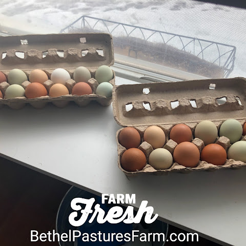 Bethel Pastures Farm Bed & Breakfast by null