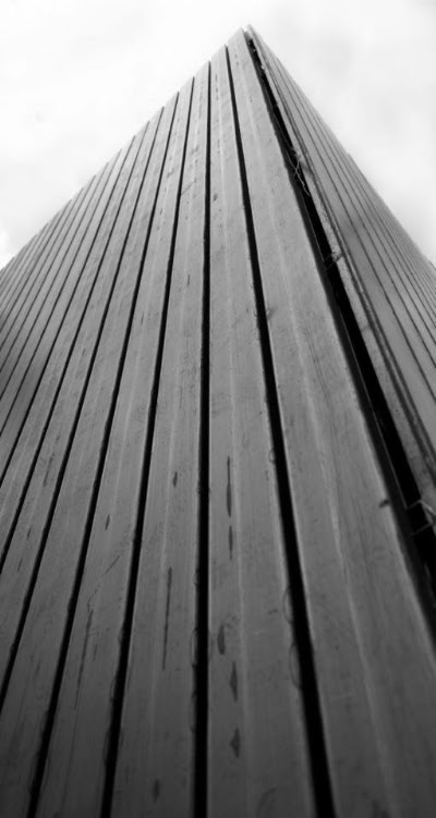 Photos of Gaia Gallery