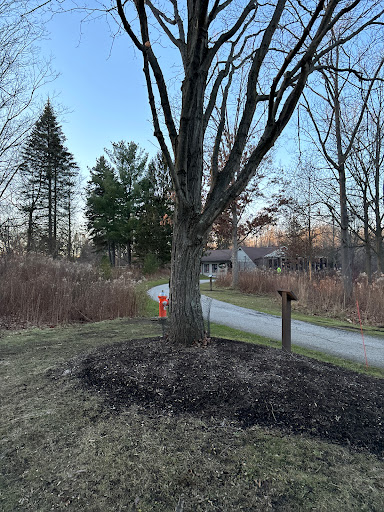 Park Mayfield - Thumbnail