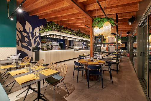 Ficus - Visual