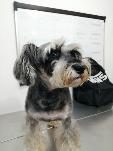 Clínica Veterinaria Huellitas