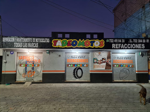 Moto Partes Tadeo