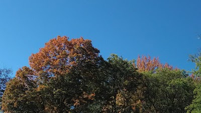 West Hartford Parks