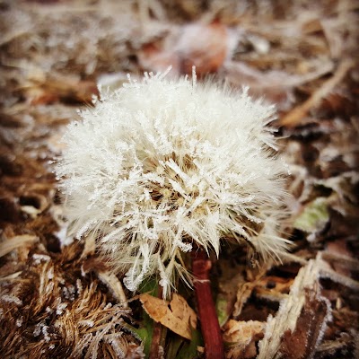 Photos of 장아산