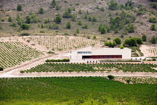 Bodegas Sierra Salinas