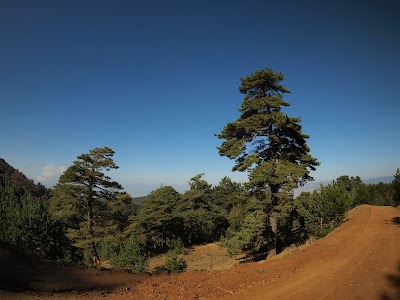 Karaca Yaylası