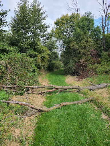 Piscasaw North - Thumbnail