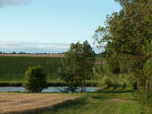 Photo de Domaine de Lajean à Jegun (32360)