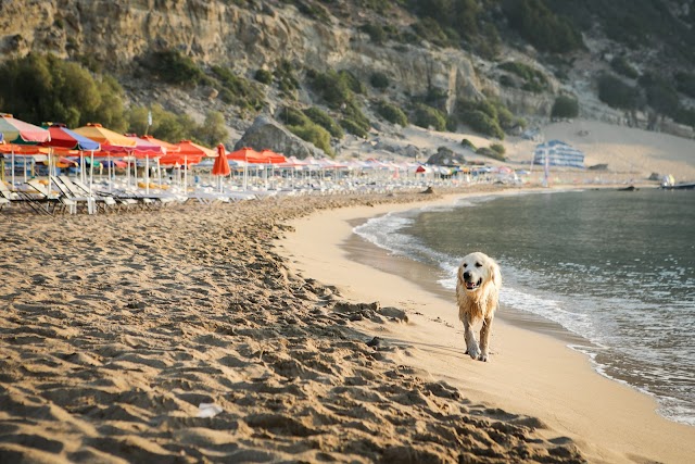 Tsambika Beach