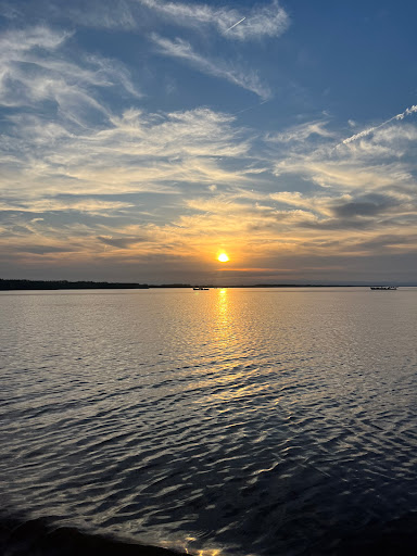 Paseos en barca albufera Valencia – El Bessó - Thumbnail
