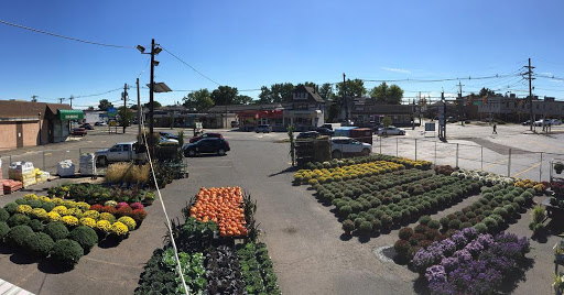 Stone Brook Garden Center & Landscape Supply