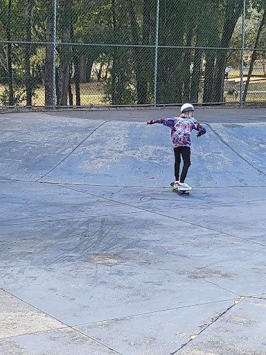 Beverly Hills Skate Court Gallery - United States