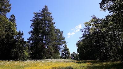 Photos of Polli m&otilde;is