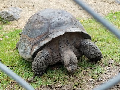 Photos of Loja Zoo
