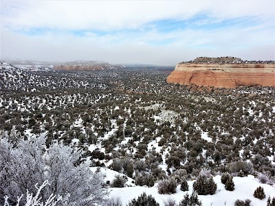 Black Ridge Canyons Wilderness (Colorado)