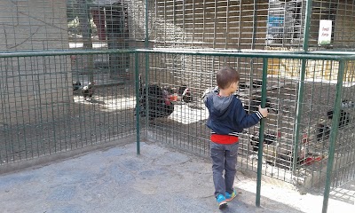 Zoo