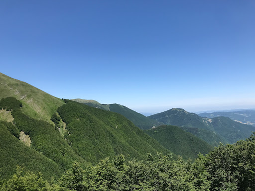 Landscape Walking Tours - Thumbnail