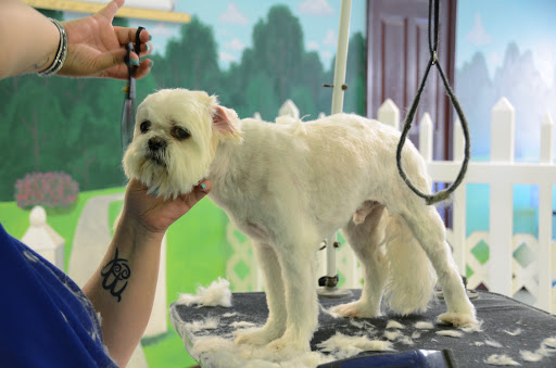 Letta's Dawgie Day Spa
