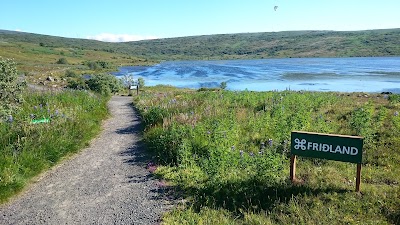 Photos of Lake Vifilsstadavatn