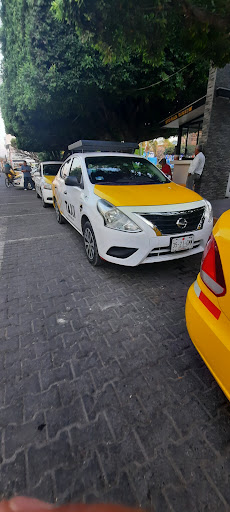 Taxis de Ocotlán - Thumbnail