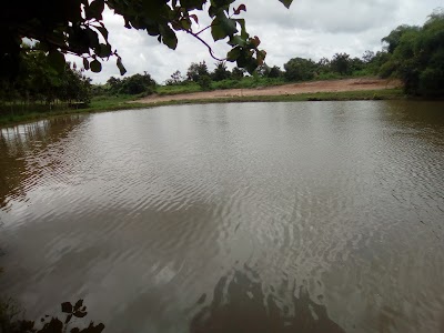 Photos of Maquis Espace Djiba