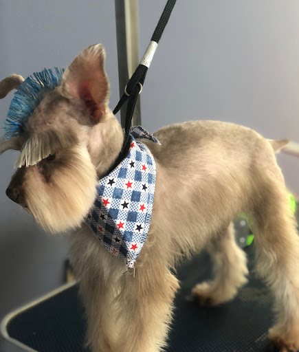 Dilan Grooming - Thumbnail
