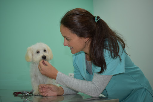 Centro Veterinario MIAUCAN