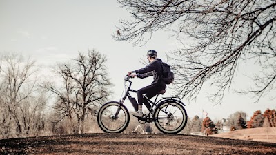 Finger Lakes Electric Bikes