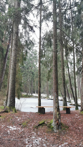 Deglweiher - Visual