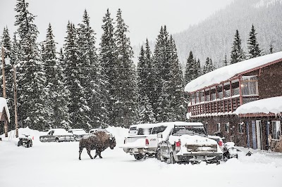 High Country Motel and Cabins