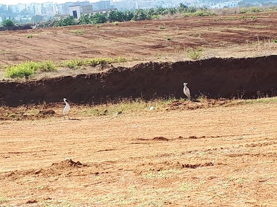 Photos of Tipaza Park