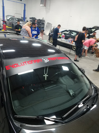 Evolutionary Performance LLC - Visual