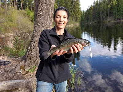 Robinson Lake Campground